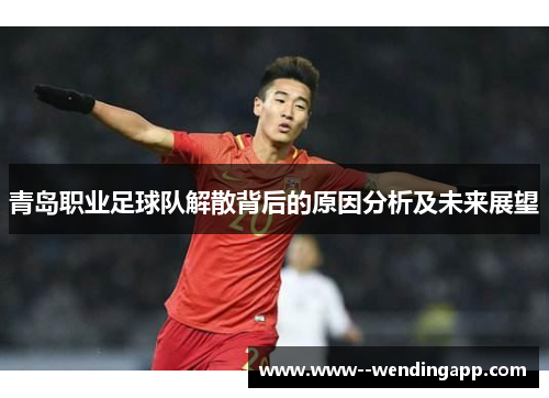 青岛职业足球队解散背后的原因分析及未来展望