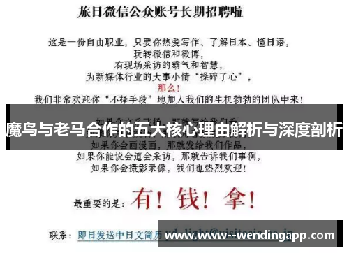 魔鸟与老马合作的五大核心理由解析与深度剖析 魔鸟与老马合作的五大核心理由解析与深度剖析